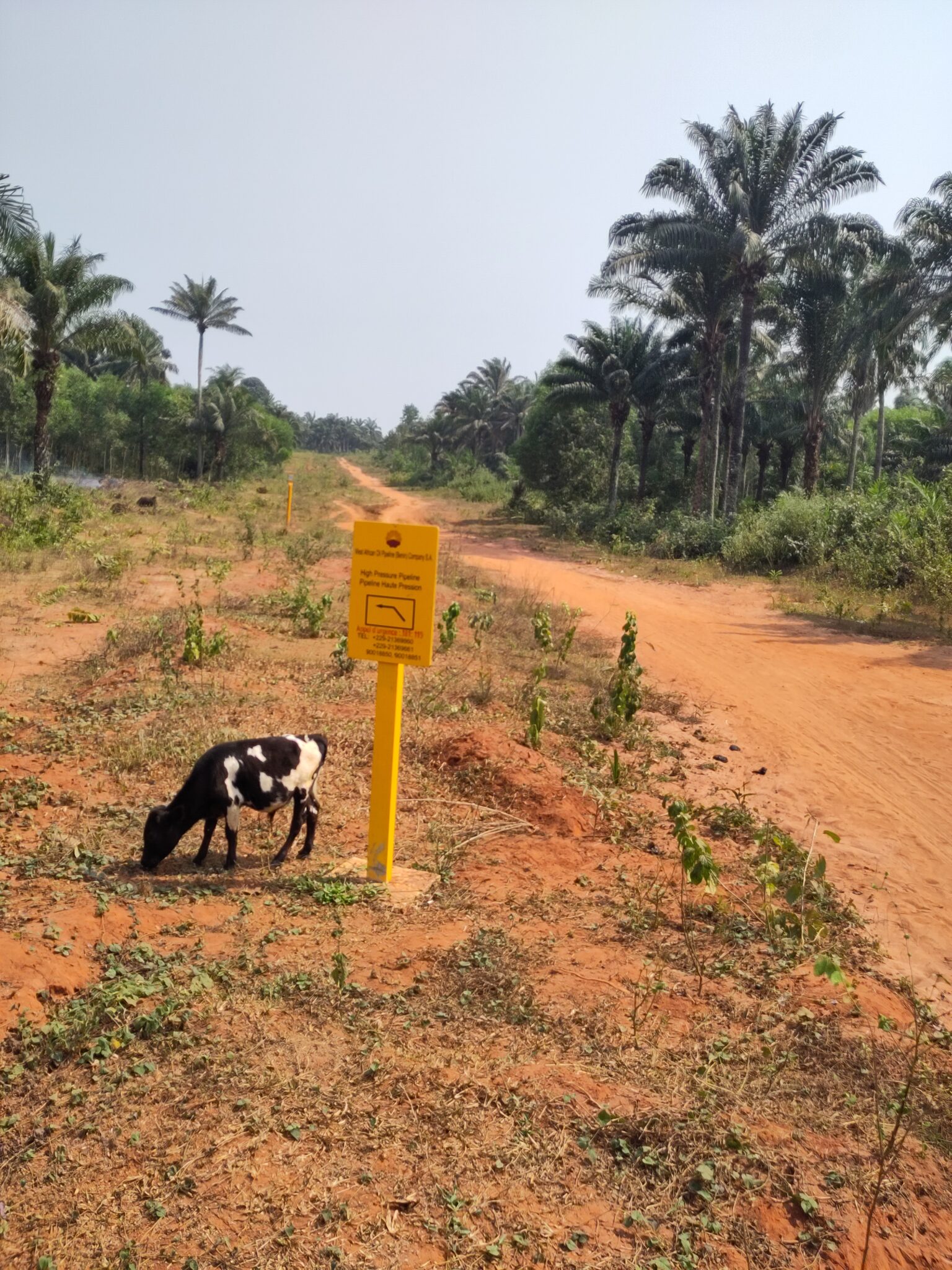 Large-scale infrastructure as an instrument for local development? The ...