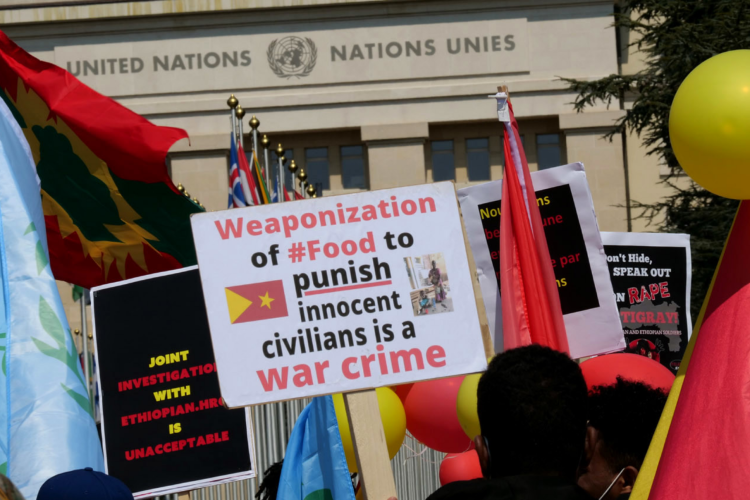 Screenshot 2022-09-22 at 20-12-32 Stop war on Tigray – Demo in Genf 16.04.2021